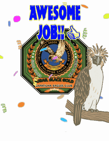 Jbgsec Awesome GIF