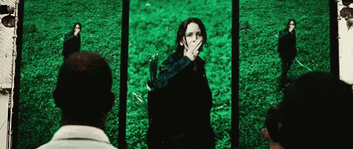 Jennifer Lawrence The Mocking Jay GIF