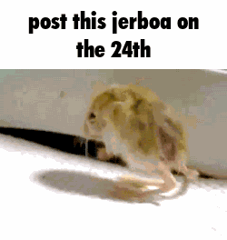 Jerboa Post This GIF