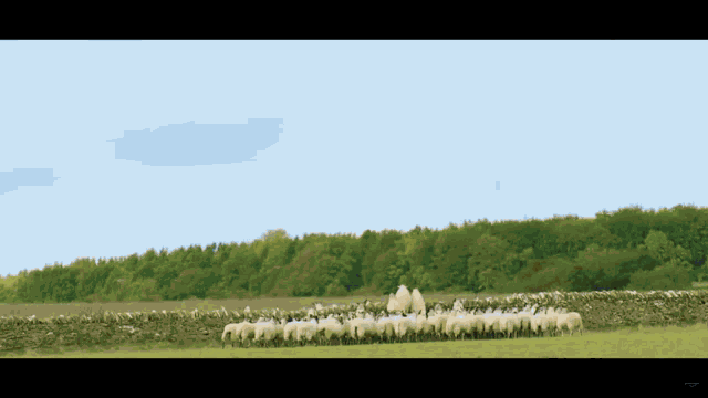 Jeremy Jeremy Clarkson GIF