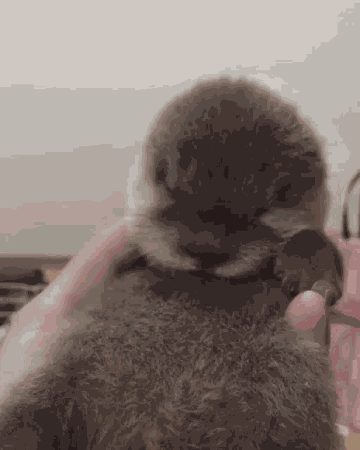 Jeremy Otter Otter GIF