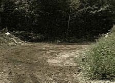 Jewish GIF