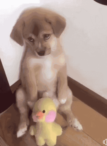 Jhasminegif GIF