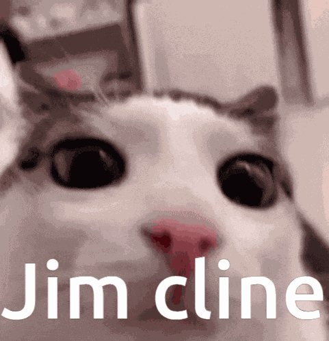 Jim Cline Cat GIF