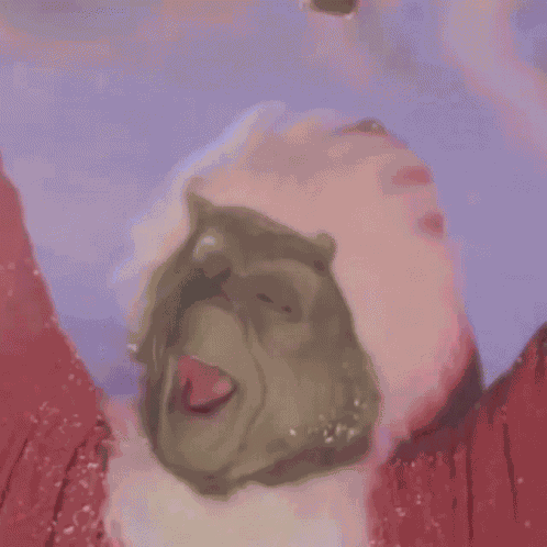 Jim Jimcarrey GIF
