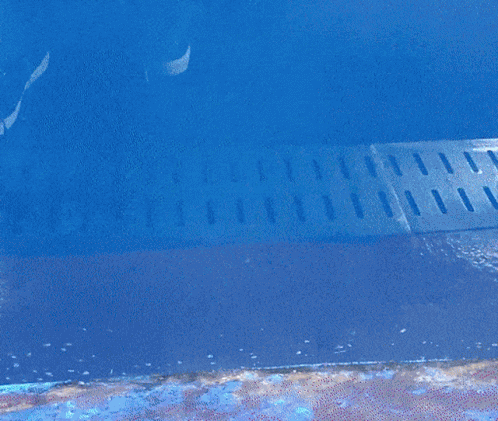 Jinny Jinnytty GIF