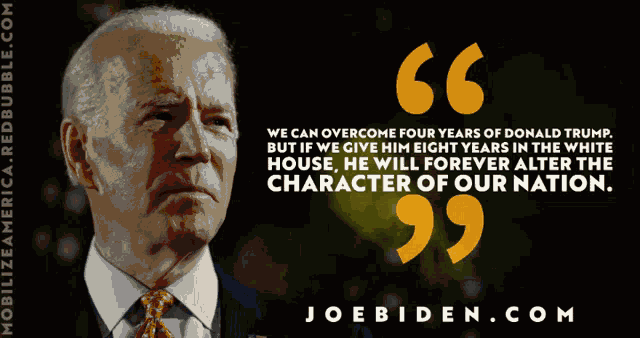 Joe Biden Biden2020 GIF