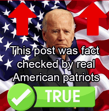 Joe Biden Fact Check GIF
