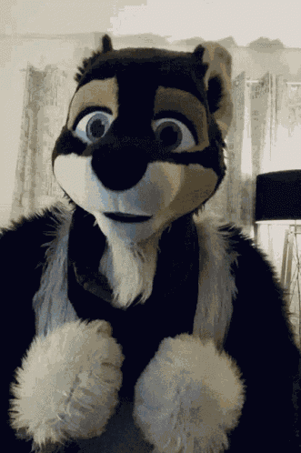 Joe GIF