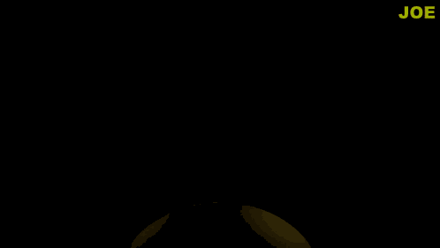 Joe Joe Coin GIF