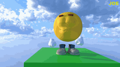 Joe Joe Coin GIF