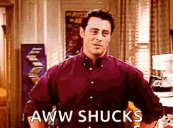 Joey Tribbiani Friends GIF