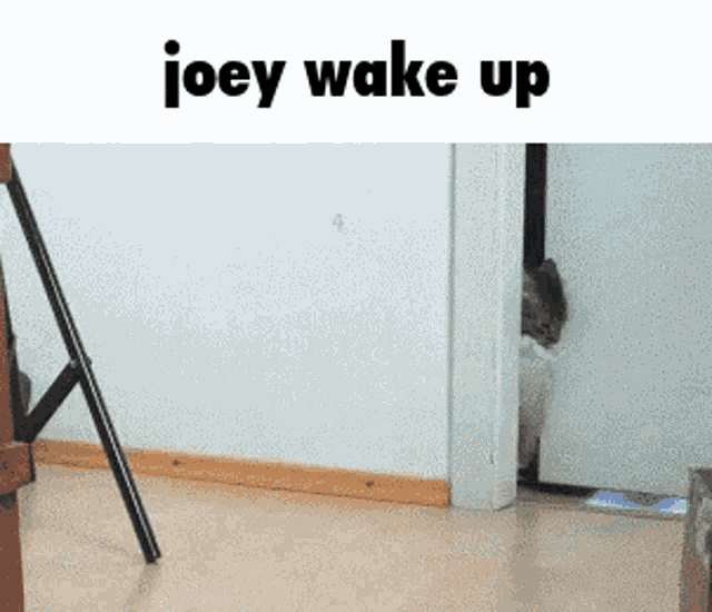 Joey Wake Up Poop Family GIF
