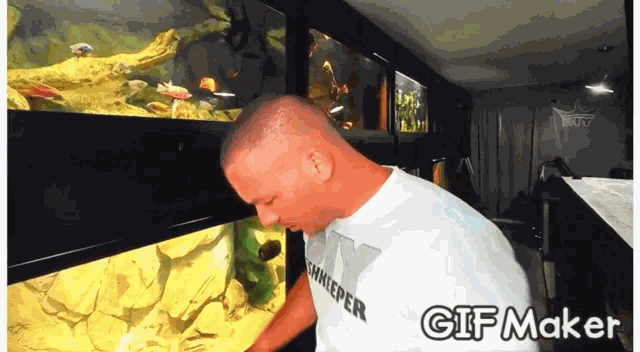 Joeymullen Diyjoey GIF