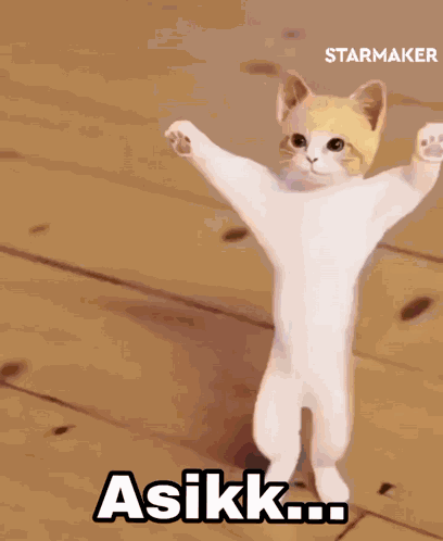 Joget Joget Lucu GIF