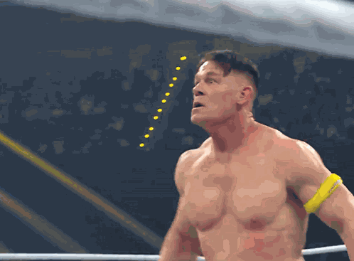 John Cena Brock Lesnar GIF