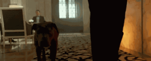 John Wick Dog GIF