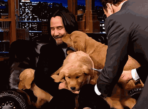 John Wick Puppies GIF