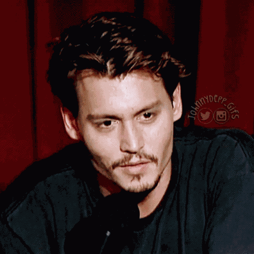Johnny Depp Raise Eyebrow GIF