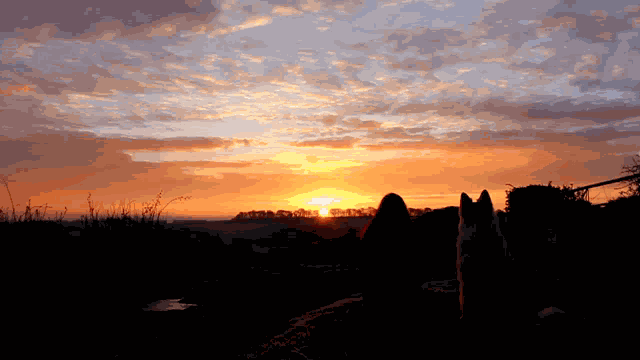 Jojorawr Jojorawrgaming GIF