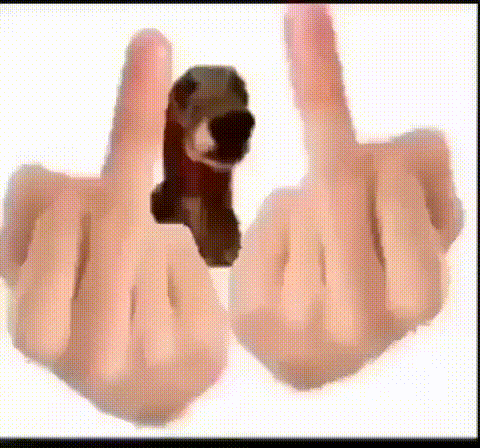 Joke Middle Finger GIF