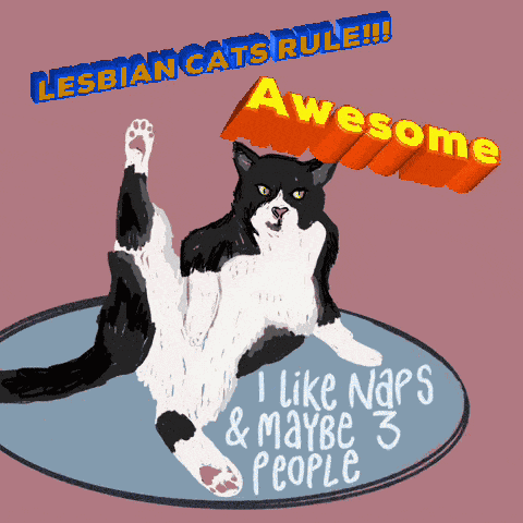 Jokes On You Joking GIF