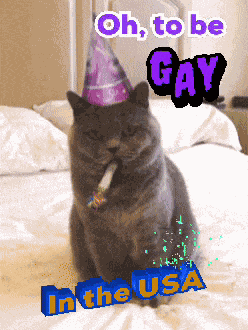 Joking Jokes On You GIF