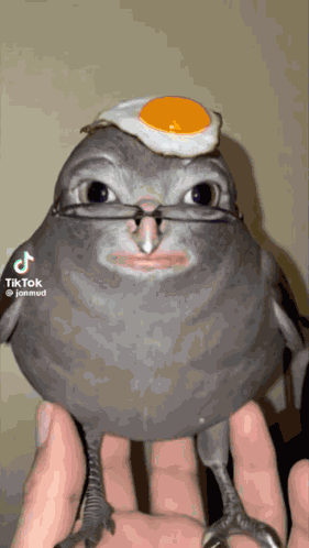 Jon Mud Josh Clancy GIF