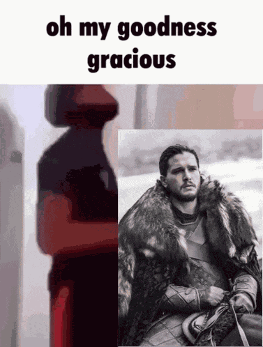 Jon Snow Oh My Goodness Gracious GIF