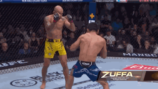 Jose Aldo Mario Bautista GIF