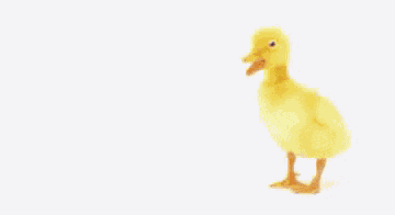 Joyeux Anniversaire GIF