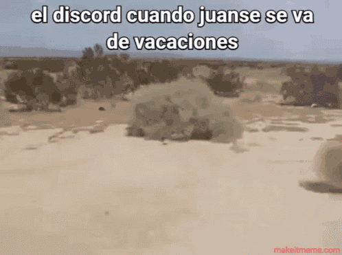 Juans GIF