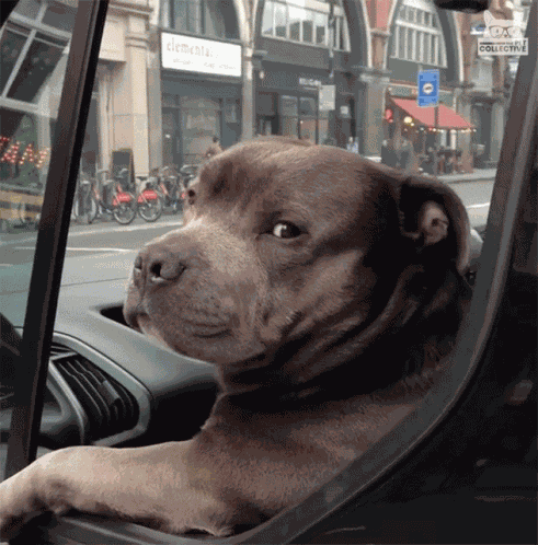 Judging Nope GIF