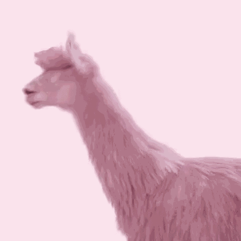 Julesmumm Bejules GIF