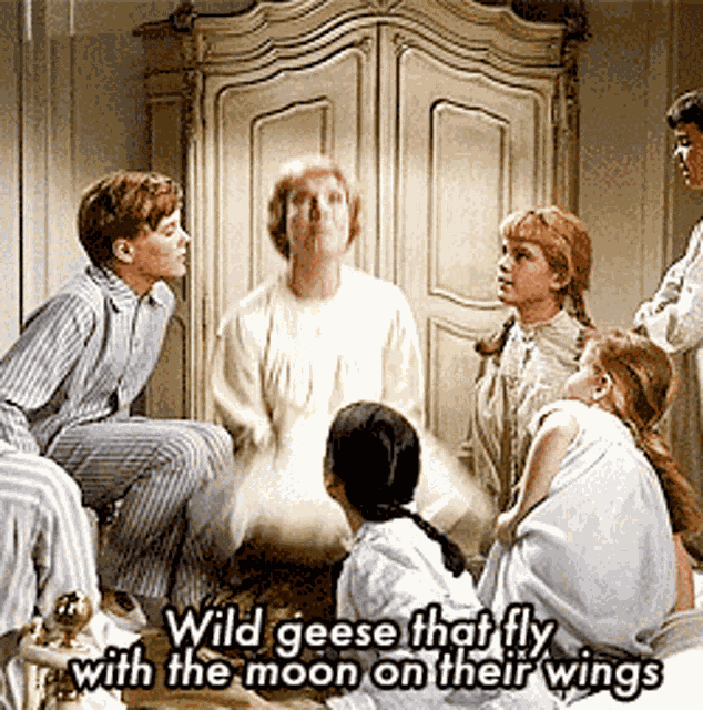 Julie Andrews Sound Of Music GIF