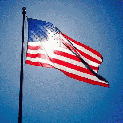 July American Flag GIF