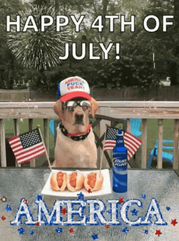 July4 America GIF