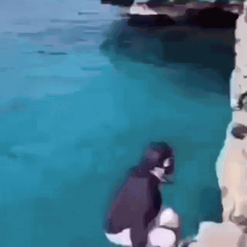 Jumping Water GIF