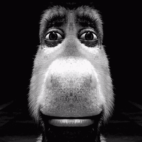 Jun Staring Donkey Meme Junhui GIF