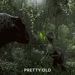 Jurassic Dinosaur GIF