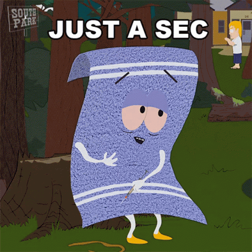 Just A Sec Towelie GIF