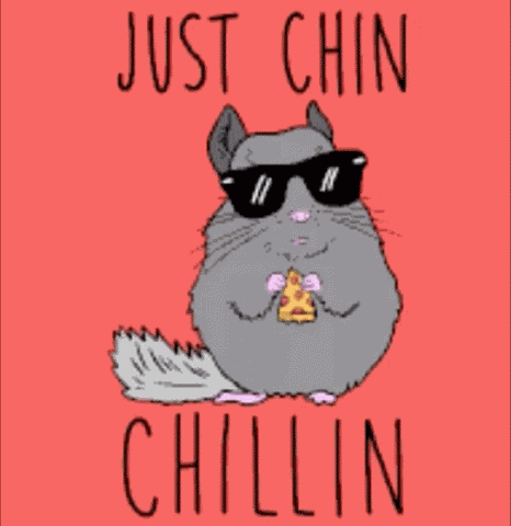 Just Chillin Pizza Rat GIF