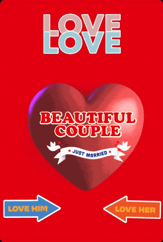 Just Married Beautiful Couple GIF
