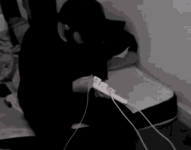 Just Trying My Best Im Trying GIF