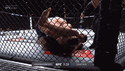 Justin Gaethje Khabib Nurmagomedov GIF