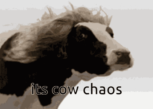 K GIF