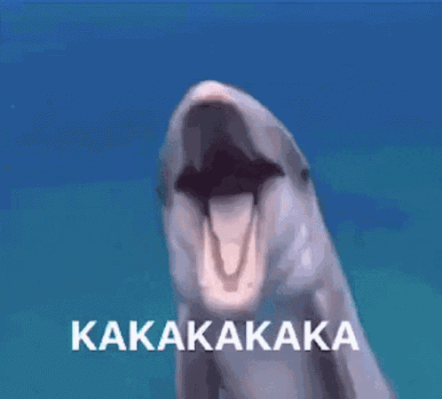 Kaka Kakaka GIF