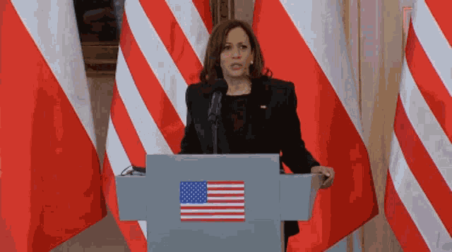 Kamala Harris Shrug GIF