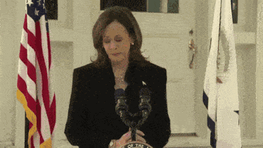 Kamala Harris Vice President GIF