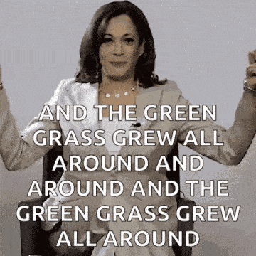 Kamala Harris Vice President GIF